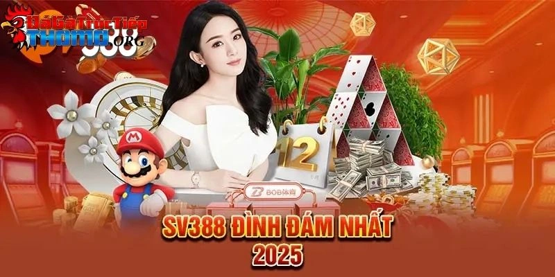 Đá gà trực tiếp Thomo