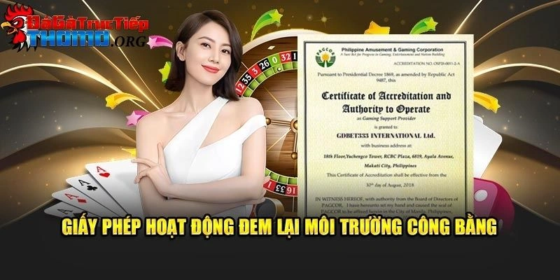 Đá gà trực tiếp Thomo