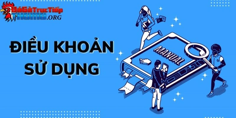 Điều khoản và điều kiện