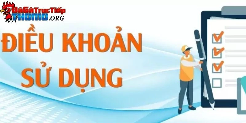 Điều khoản và điều kiện