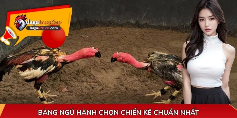 Bảng ngũ hành chọn chiến kê chuẩn nhất