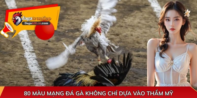 80 màu mạng đá gà không chỉ dựa vào thẩm mỹ