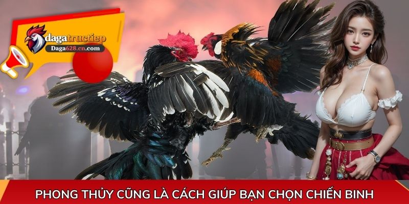 Phong thủy cũng là cách giúp bạn chọn chiến binh