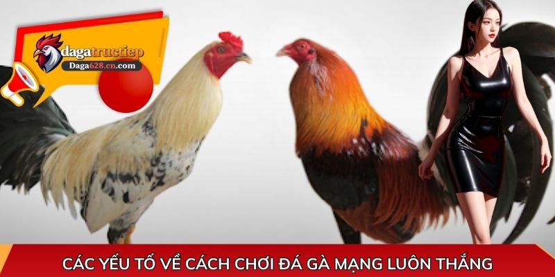 Các yếu tố về cách chơi đá gà mạng luôn thắng