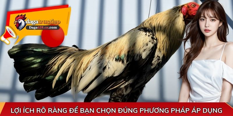 Lợi ích rõ ràng để bạn chọn đúng phương pháp áp dụng