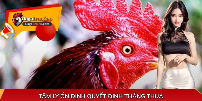 Tâm lý ổn định quyết định thắng thua