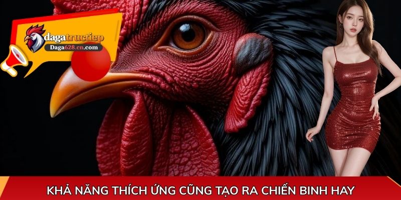 Khả năng thích ứng cũng tạo ra chiến binh hay