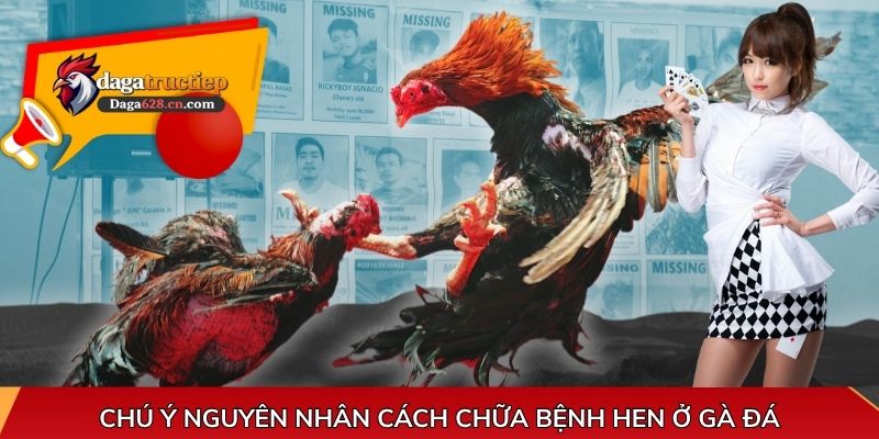 Chú ý nguyên nhân cách chữa bệnh hen ở gà đá