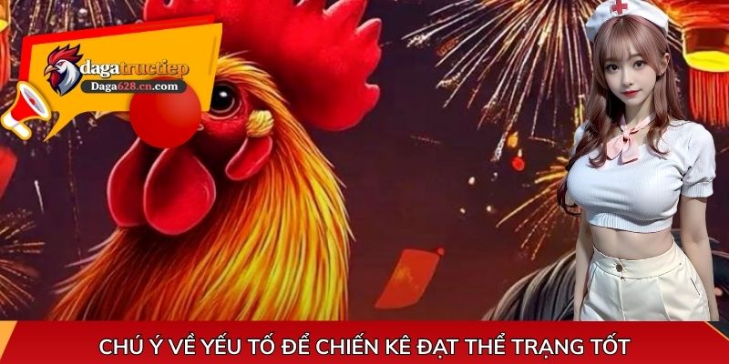 Chú ý về yếu tố để chiến kê đạt thể trạng tốt