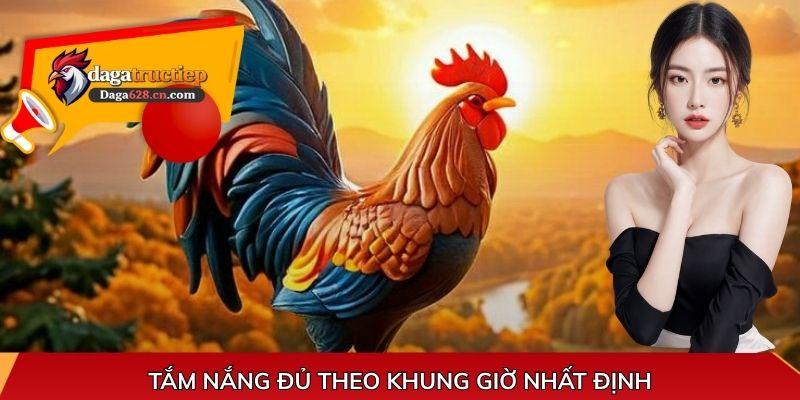 Tắm nắng đủ theo khung giờ nhất định