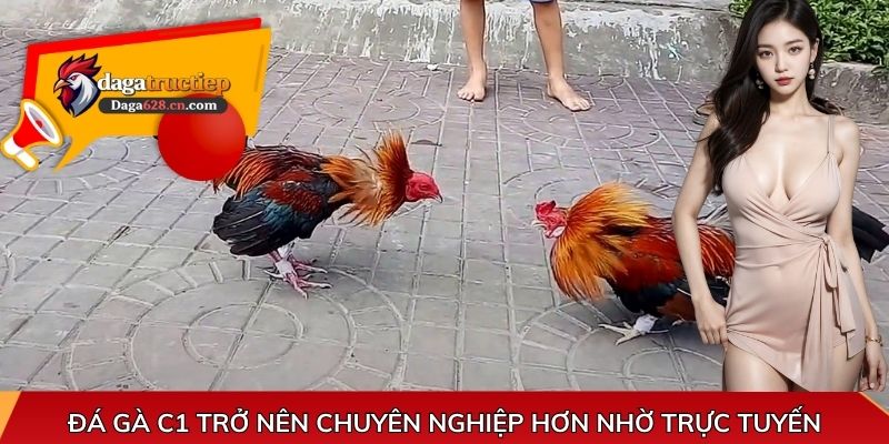 Đá gà C1 trở nên chuyên nghiệp hơn nhờ trực tuyến