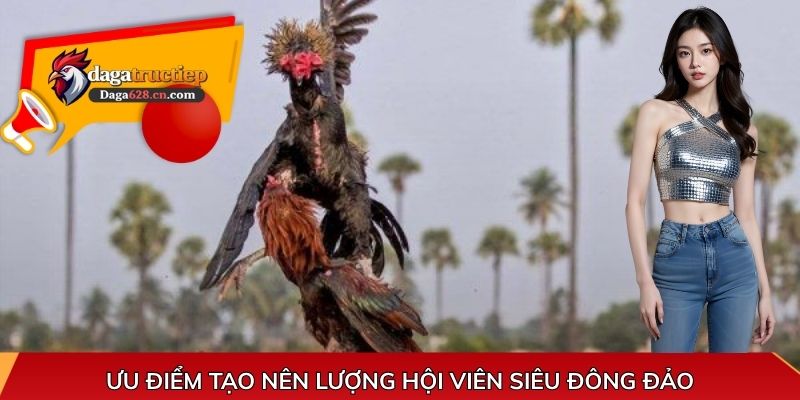 Ưu điểm tạo nên lượng hội viên siêu đông đảo