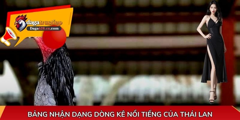 Bảng nhận dạng dòng kê nổi tiếng của Thái Lan