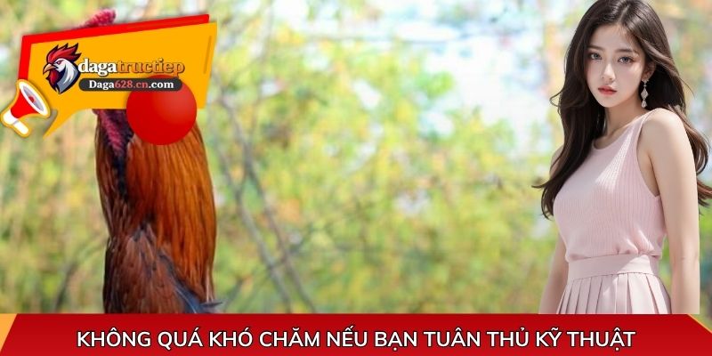 Không quá khó chăm nếu bạn tuân thủ kỹ thuật