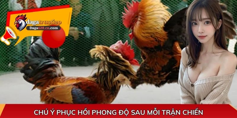 Chú ý phục hồi phong độ sau mỗi trận chiến