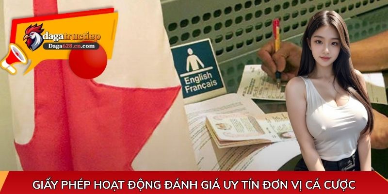 Giấy phép hoạt động đánh giá uy tín đơn vị cá cược