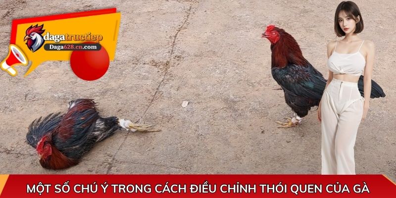 Một số chú ý trong cách điều chỉnh thói quen của gà