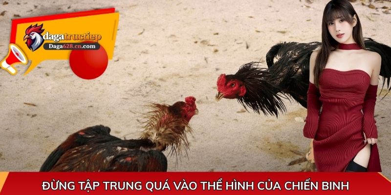 Đừng tập trung quá vào thể hình của chiến binh