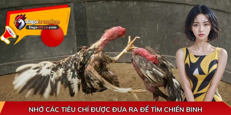 Nhớ các tiêu chí được đưa ra để tìm chiến binh