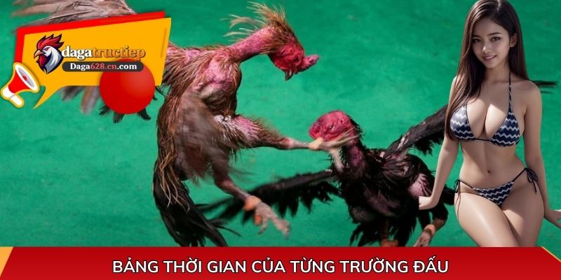 Bảng thời gian của từng trường đấu