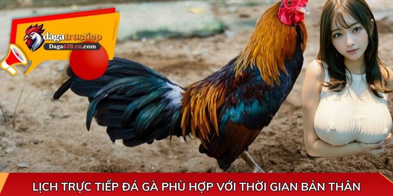 Lịch trực tiếp đá gà phù hợp với thời gian bản thân