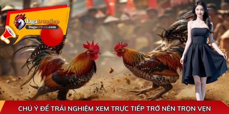 Chú ý để trải nghiệm xem trực tiếp trở nên trọn vẹn