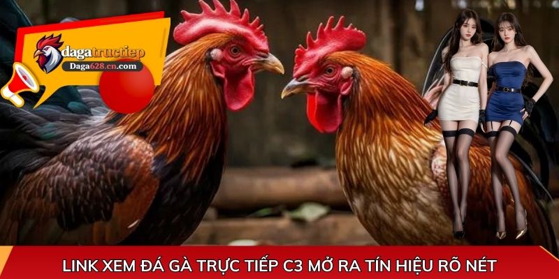 Link xem đá gà trực tiếp C3 mở ra tín hiệu rõ nét