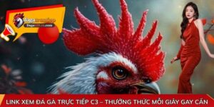 Link xem đá gà trực tiếp C3