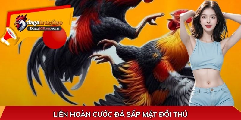 Liên hoàn cước đá sấp mặt đối thủ