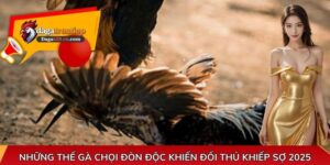Những thế gà chọi đòn độc