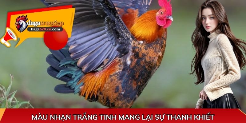 Màu nhạn trắng tinh mang lại sự thanh khiết