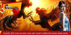 Thuốc bổ cho gà đá cựa sắt