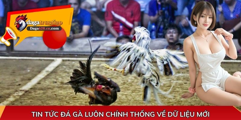 Tin tức đá gà luôn chính thống về dữ liệu mới
