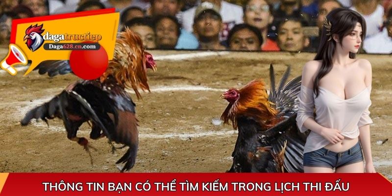 Thông tin bạn có thể tìm kiếm trong lịch thi đấu