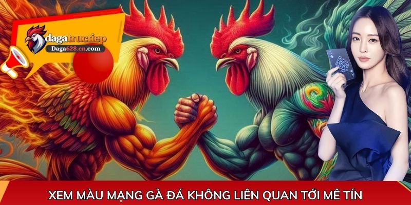 Xem màu mạng gà đá không liên quan tới mê tín