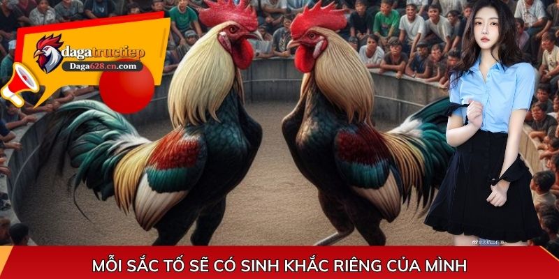 Mỗi sắc tố sẽ có sinh khắc riêng của mình